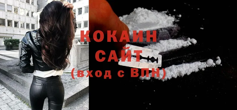 где купить наркотик  Кировск  Cocaine Эквадор 